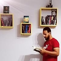 عمرو الصياد
