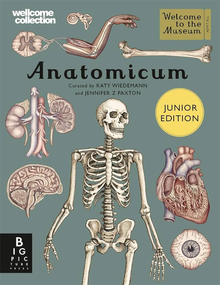 anatomicum welcome to the museum