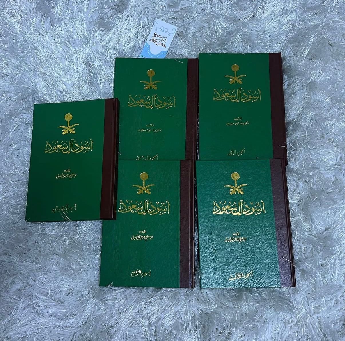 أسود آل سعود