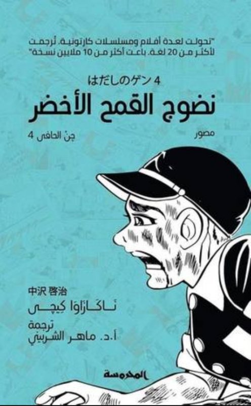 نضوج القمح الأخضر