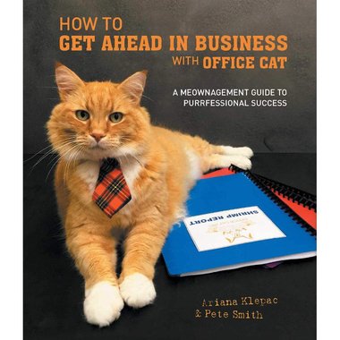 How to Get Ahead in Business with Office Cat - A Meownagement Guide to Purrfessional Success