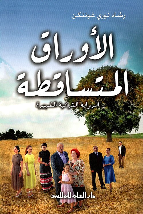 Single Book